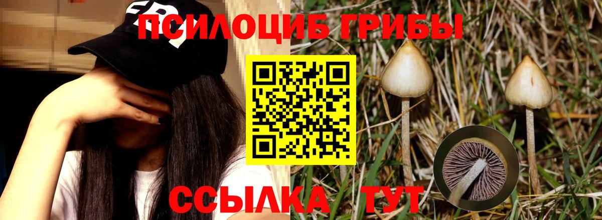Псилоцибиновые грибы MAGIC MUSHROOMS  Вход с VPN  Галлюциногенные грибы мицелий  Пугачёв 